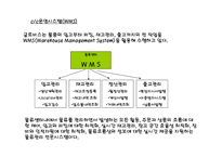 미국 현대자동차 scm-19