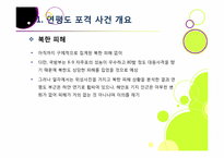 [연평도포격]북한의 연평도 포격, 왜? - 연평도 포격 사건의 배경 및 과정 조사, 군 대응 논란, 북한 도발에 대한 대책 모색 등-8
