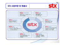 STX 기업분석, 성공요인 사례-7