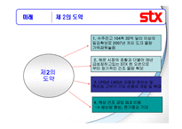 STX 기업분석, 성공요인 사례-20