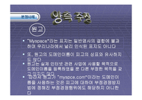 [전자무역론] 전자무역 분쟁사례-4