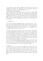 MPEG-2와 H.264에 대하여-3