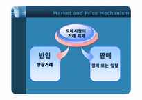 [기업경제학] 시장과 가격 메커니즘-6