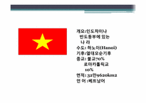 [다문화사회] 베트남 명절및 음식문화-3