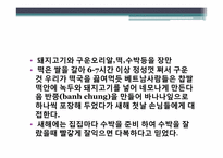 [다문화사회] 베트남 명절및 음식문화-8
