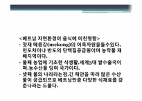 [다문화사회] 베트남 명절및 음식문화-10