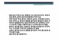 [다문화사회] 베트남 명절및 음식문화-11