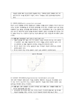 보웬 가족치료이론,보웬에 대하여,가족치료목표,가족치료의 핵심개념-5