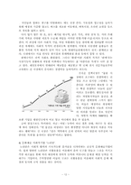 [경제학원론] 사회적 기업과 경제 - 빵을 팔기위해 고용하는 기업이 아닌 고용하기 위해 빵을 파는 기업-13