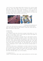 [관료제론] 관료제와 민주주의-12