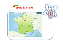 [국제마케팅] 서송 장례 토탈 서비스 프랑스 진출을 위한 전략 분석-16