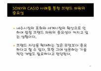 [마케팅 전략] 소니SONY와 카시오CASIO 사례를 통한 브랜드 파워의 중요성-20
