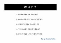 [소비자행동론] 소비자와 마케팅-팝업스토어(POP-UP STORE) 마케팅-5