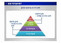 [리더십개발론] 펩시PEPSI의 감성리더십-7