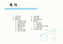 [재무관리] 빙그레 기업 재무분석(~2009)-2