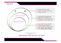 [중국경제론] 중국의 자원확보전략과 그 영향-6