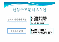 [국제경영] 밀폐용기산업 속 락앤락의 성공요인과 발전방향- 경쟁사 타파웨어 비교를 중심으로-9