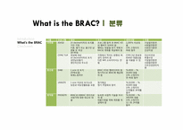 [금융론] 마이크로파이낸스(microfinance)-BRAC 사례분석-18