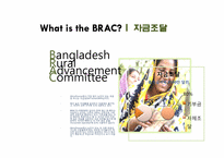 [금융론] 마이크로파이낸스(microfinance)-BRAC 사례분석-19