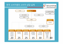 [소비자가족학] 한국소비자원의 소비자 상담 실태 조사-기관의 소비자 상담 발전 방향 제안-6