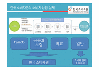[소비자가족학] 한국소비자원의 소비자 상담 실태 조사-기관의 소비자 상담 발전 방향 제안-7