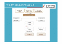 [소비자가족학] 한국소비자원의 소비자 상담 실태 조사-기관의 소비자 상담 발전 방향 제안-10