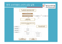 [소비자가족학] 한국소비자원의 소비자 상담 실태 조사-기관의 소비자 상담 발전 방향 제안-11