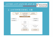 [소비자가족학] 한국소비자원의 소비자 상담 실태 조사-기관의 소비자 상담 발전 방향 제안-14