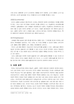 [문화와 심리] 외모지상주의(Lookism)-기본 개념과 다양한 접근방법을 통한 외모지상주의 실태 분석, 그리고 결론-8
