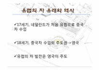 [유럽문화의 이해] 유럽의 차문화와 카페문화-3