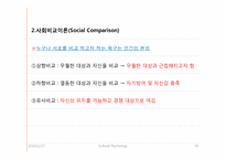 [문화와 심리] 외모지상주의(Lookism)-기본 개념과 다양한 접근방법을 통한 외모지상주의 실태 분석, 그리고 결론-19