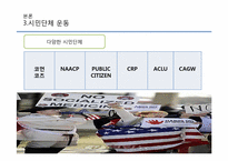 [현대 미국 사회 문제] 미국사회문제로서의 티파티 Tea party-12