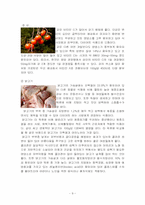 [식생활관리 및 실습] 같은 재료를 이용하여 조리법을 달리한 음식-9