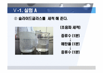[나노공학] 교대흡착법에 의한 다층 나노박막제조-17