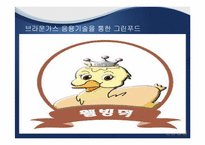 [환경공학] 미래에너지-브라운 가스와 수소에너지의 이용-20
