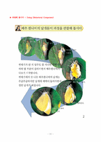 [교육학개론] 초등과학교육론(생명 영역) 3-1-3 동물의한살이 교수학습 과정안-14