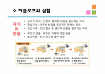 [교육심리] 행동주의 학습이론- 고전적 조건화, 조작적 조건화-5