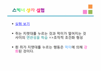 [교육심리] 행동주의 학습이론- 고전적 조건화, 조작적 조건화-12