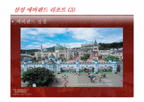 Theme Park 레포트-12