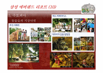 Theme Park 레포트-19