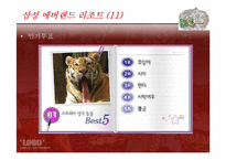 Theme Park 레포트-20