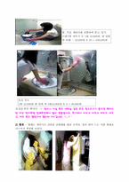[여성학] 여성의 가사 노동 실습과 가치 책정-2