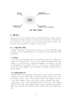 쉘라인 성공요인-7