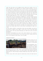 [관광행동] 제4장 여행.관광산업의 세분화-5