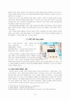 [경제사] 과거 운하건설을 통해 살펴본 한반도 대운하의 경제사적 의의 -수에즈, 경항, MD 그리고 한반도 대운하-8