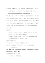 [인사관리] CJ의 인적자원관리-13