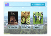 [국제 기업 환경론] 뉴질랜드-8