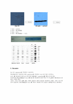signaling-western blotting을 통하여 세포내 신호전달 기전 확인-3