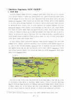 [국제환경법] Gabcikovo-Nagymaros 사건-2
