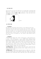 영화로 알아본 지각과 지각오류 -악마는 프라다를 입는다-3